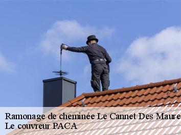 Ramonage de cheminée  le-cannet-des-maures-83340 Le couvreur PACA