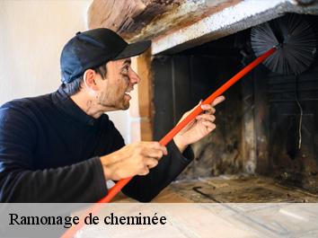 Ramonage de cheminée