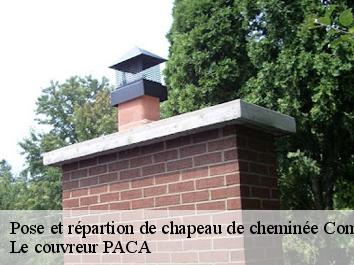 Pose et répartion de chapeau de cheminée  comps-sur-artuby-83840 Le couvreur PACA