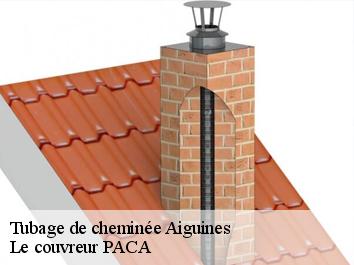 Tubage de cheminée  aiguines-83630 Le couvreur PACA