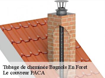 Tubage de cheminée  bagnols-en-foret-83600 Le couvreur PACA