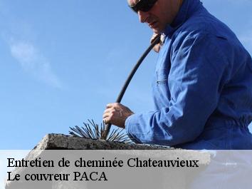 Entretien de cheminée  chateauvieux-83840 Le couvreur PACA